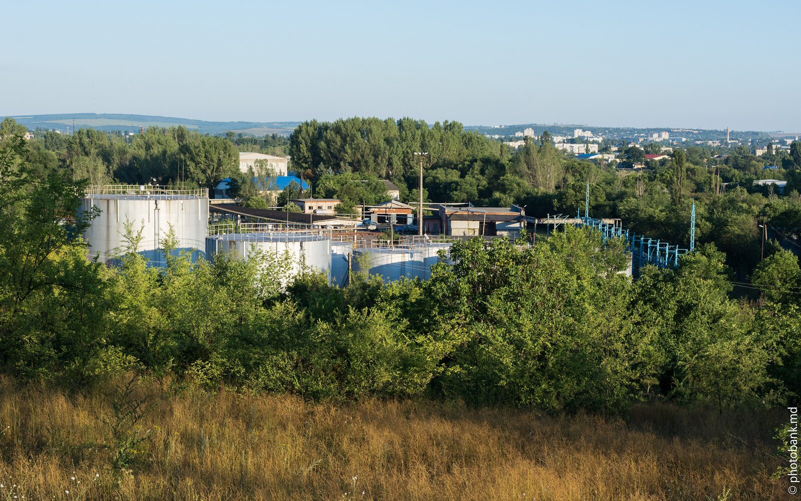 A grid of cylindrical oil storage tanks with access stairways, viewed across the tank farm